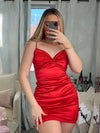 LOVE BIRDS MINI DRESS RED